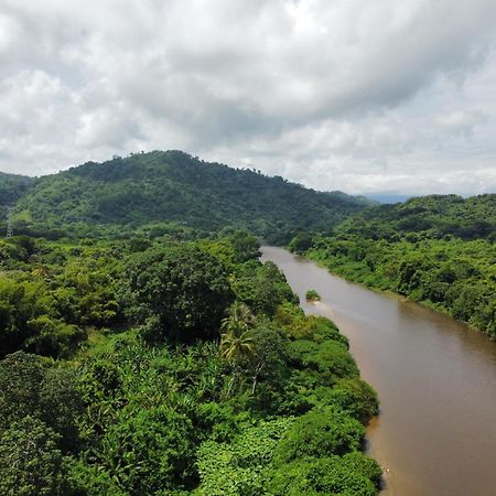 Donama River Palomino Eksteriør bilde