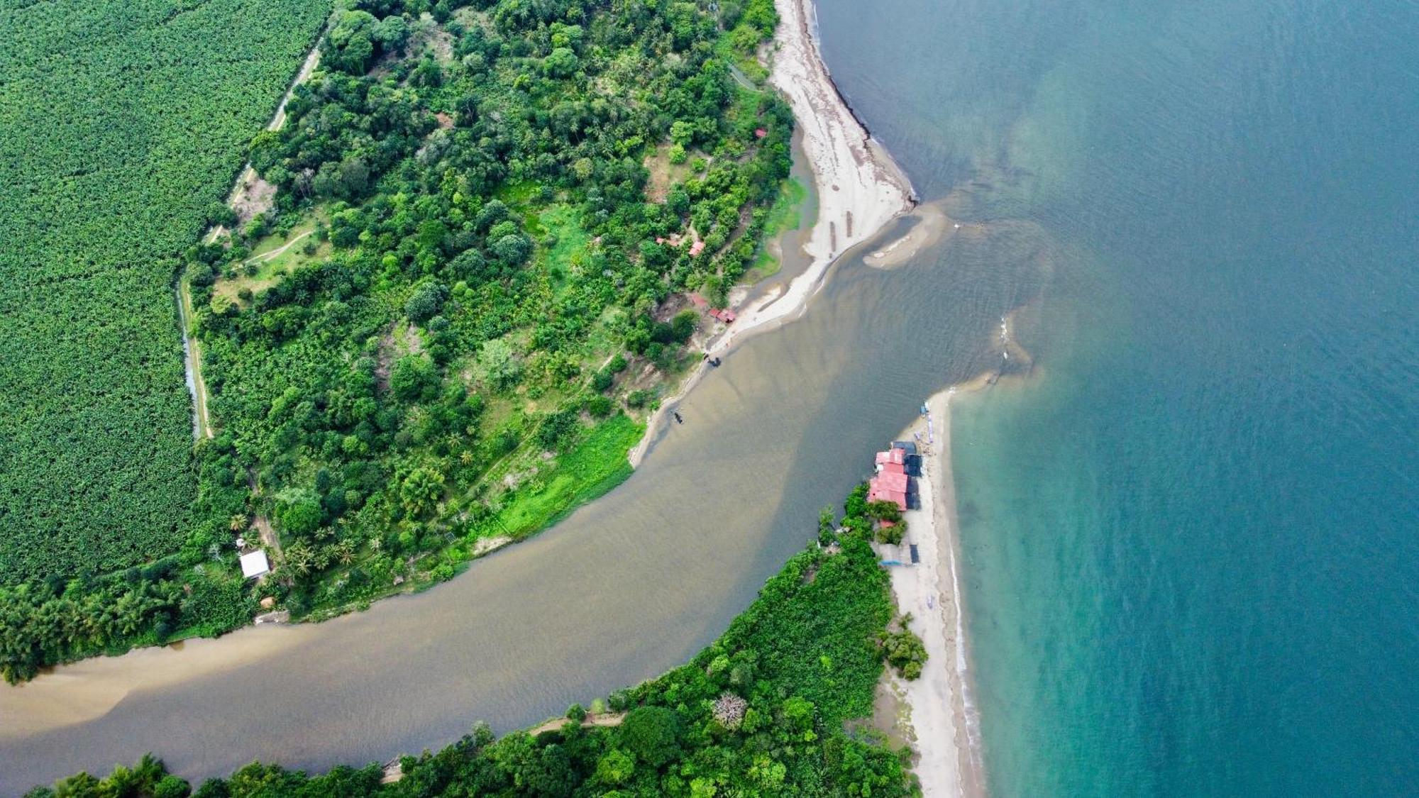 Donama River Palomino Eksteriør bilde